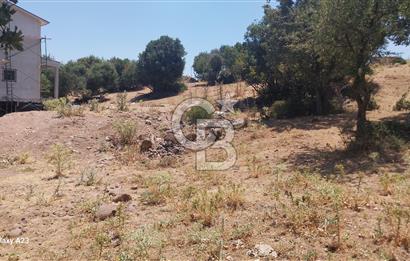 Çanakkale Ayvacık Budaklar Villa Arsası