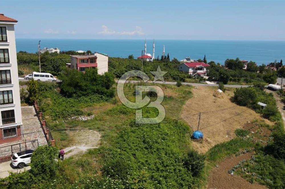 Komple Deniz Manzaralı Ticari İmara Açık SATILIK ARSA