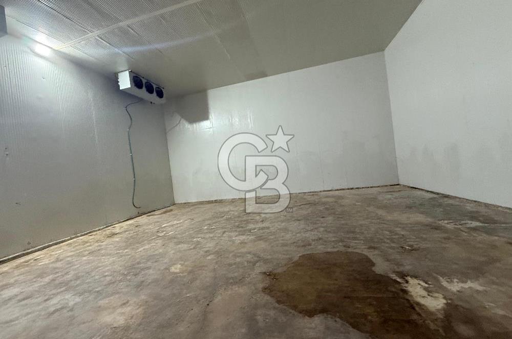 ÇANAKKALE MERKEZ SARAYCIK KÖYÜ 144 M2 KİRALIK DEPO!