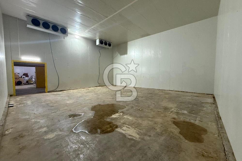ÇANAKKALE MERKEZ SARAYCIK KÖYÜ 144 M2 KİRALIK DEPO!