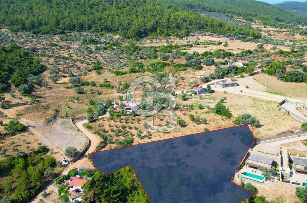 Muğla Menteşe Zeytinköy Mahallesinde Satılık İçinde Evi Olan Tarla