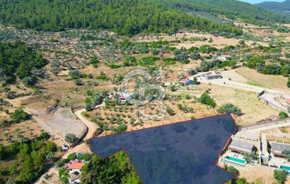 Muğla Menteşe Zeytinköy Mahallesinde Satılık İçinde Evi Olan Tarla