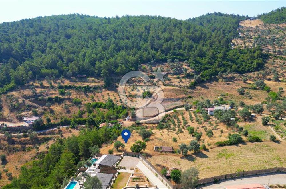 Muğla Menteşe Zeytinköy Mahallesinde Satılık İçinde Evi Olan Tarla