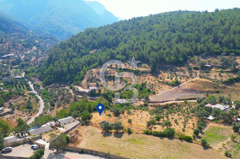 Muğla Menteşe Zeytinköy Mahallesinde Satılık İçinde Evi Olan Tarla