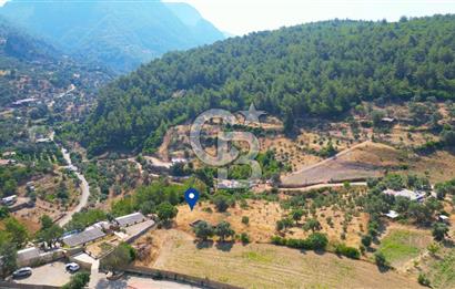 Muğla Menteşe Zeytinköy Mahallesinde Satılık İçinde Evi Olan Tarla