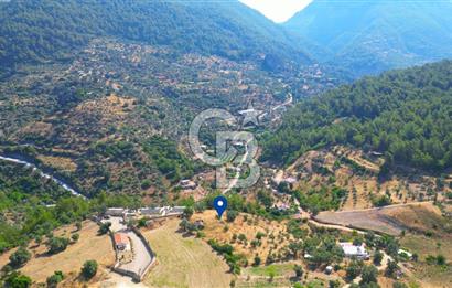 Muğla Menteşe Zeytinköy Mahallesinde Satılık İçinde Evi Olan Tarla