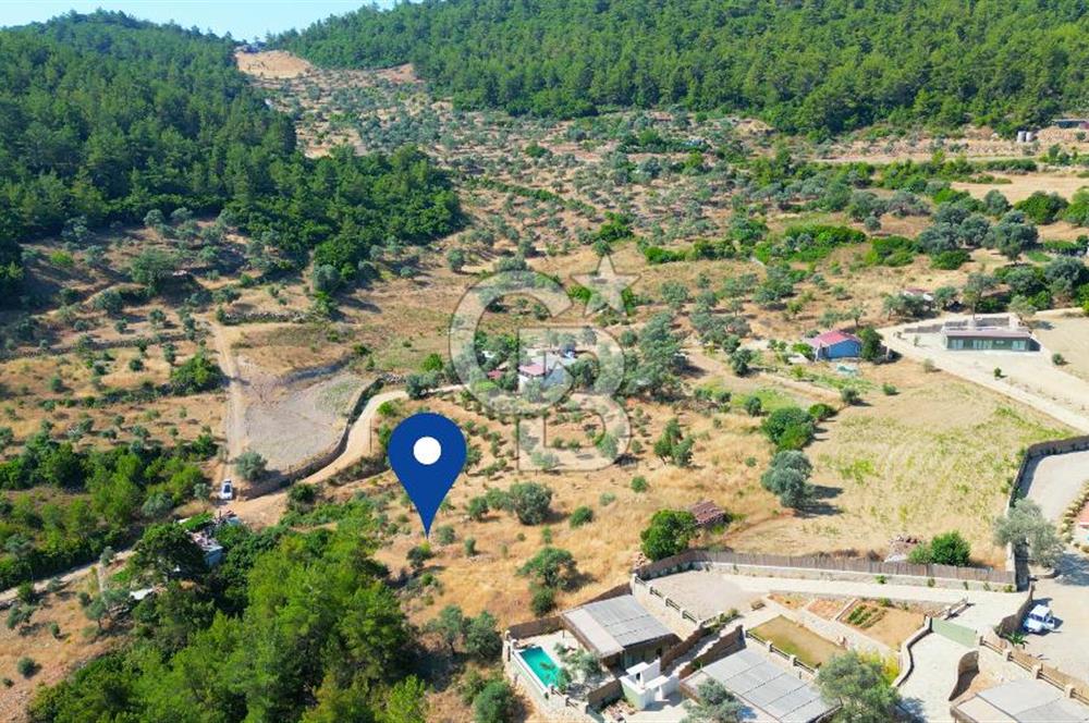 Muğla Menteşe Zeytinköy Mahallesinde Satılık İçinde Evi Olan Tarla
