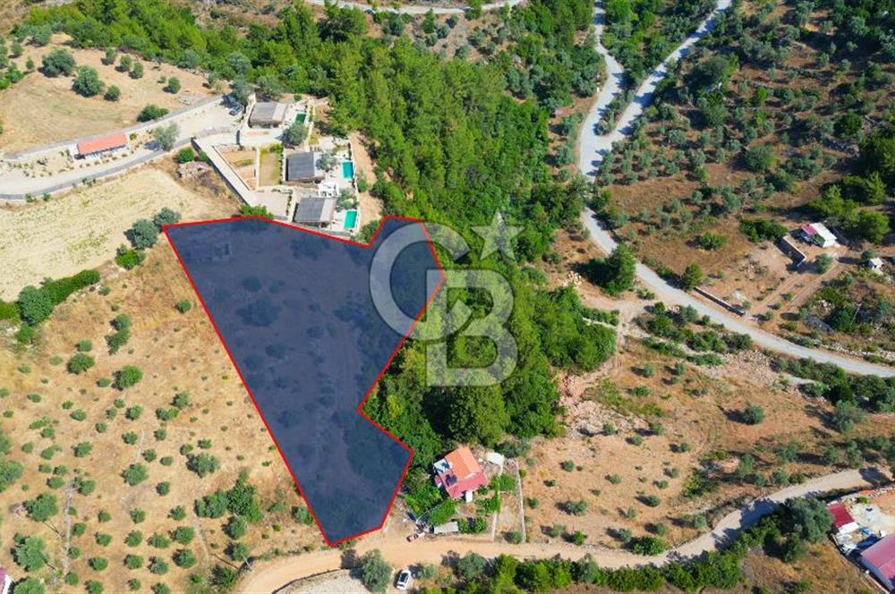 Muğla Menteşe Zeytinköy Mahallesinde Satılık İçinde Evi Olan Tarla
