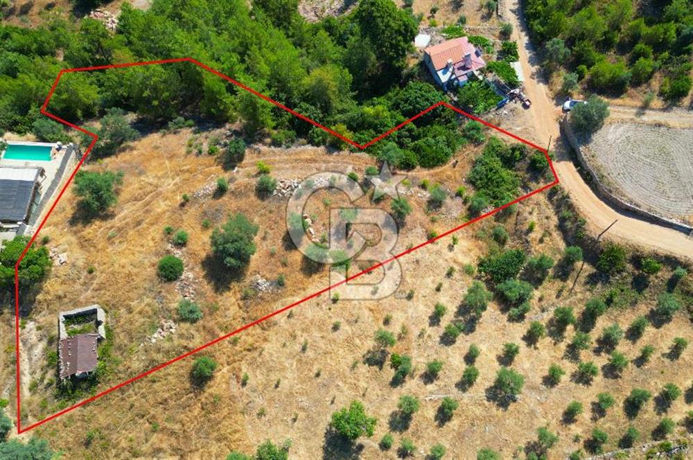 Muğla Menteşe Zeytinköy Mahallesinde Satılık İçinde Evi Olan Tarla