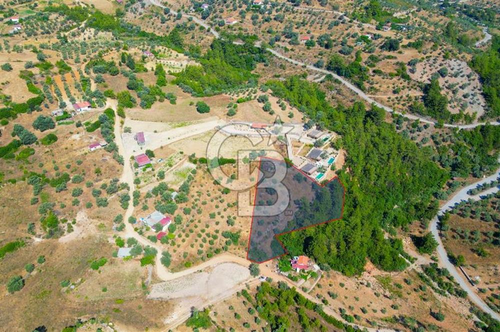 Muğla Menteşe Zeytinköy Mahallesinde Satılık İçinde Evi Olan Tarla