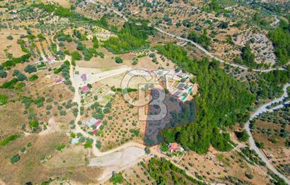 Muğla Menteşe Zeytinköy Mahallesinde Satılık İçinde Evi Olan Tarla