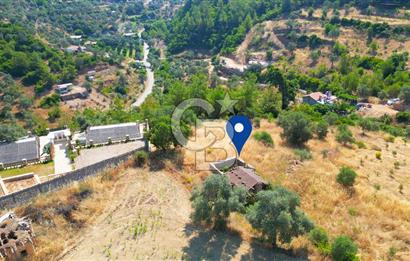 Muğla Menteşe Zeytinköy Mahallesinde Satılık İçinde Evi Olan Tarla