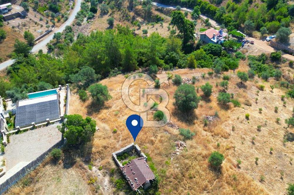 Muğla Menteşe Zeytinköy Mahallesinde Satılık İçinde Evi Olan Tarla