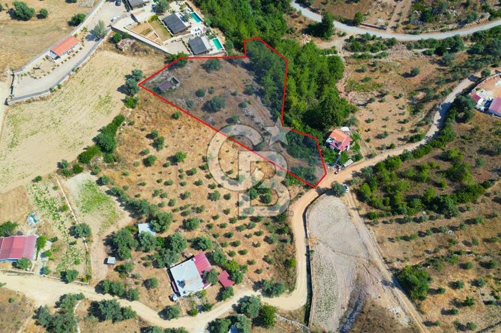 Muğla Menteşe Zeytinköy Mahallesinde Satılık İçinde Evi Olan Tarla