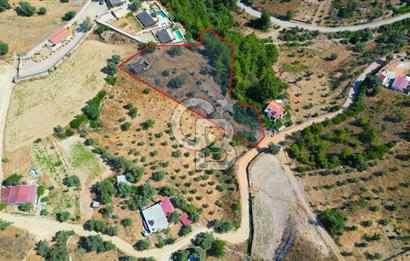 Muğla Menteşe Zeytinköy Mahallesinde Satılık İçinde Evi Olan Tarla
