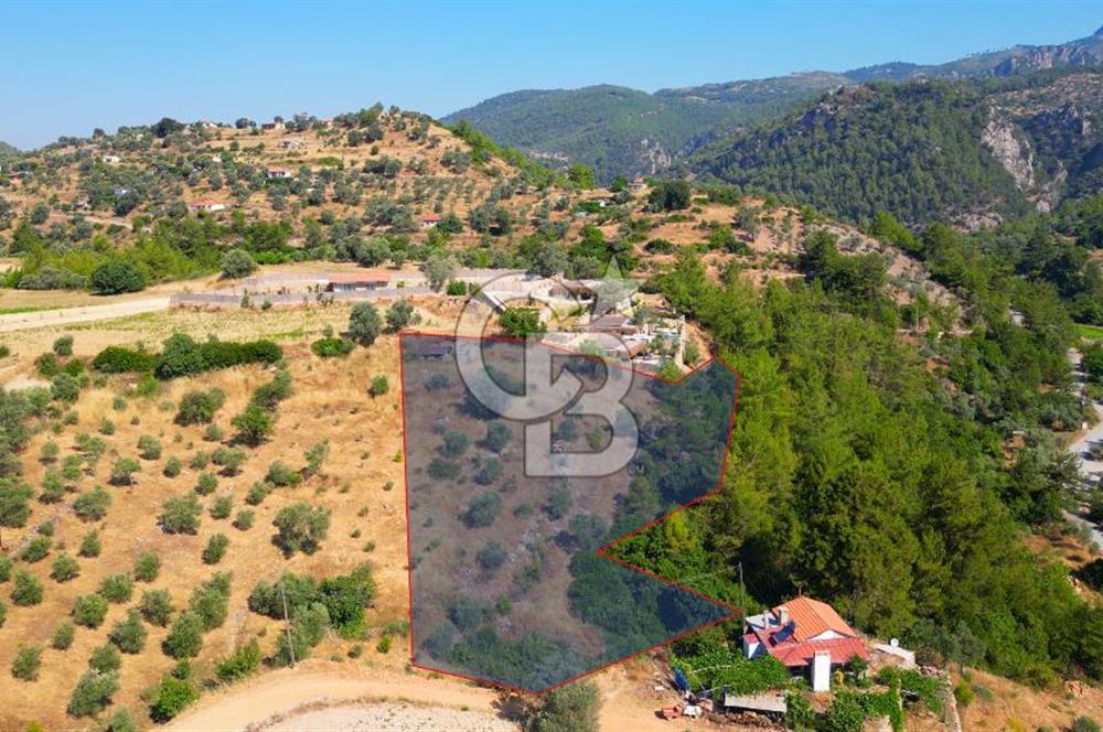 Muğla Menteşe Zeytinköy Mahallesinde Satılık İçinde Evi Olan Tarla