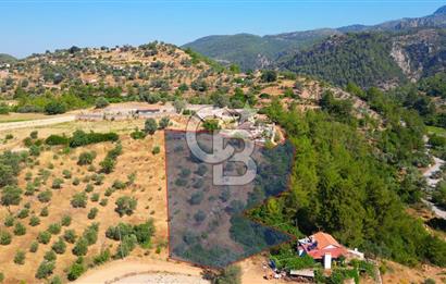 Muğla Menteşe Zeytinköy Mahallesinde Satılık İçinde Evi Olan Tarla