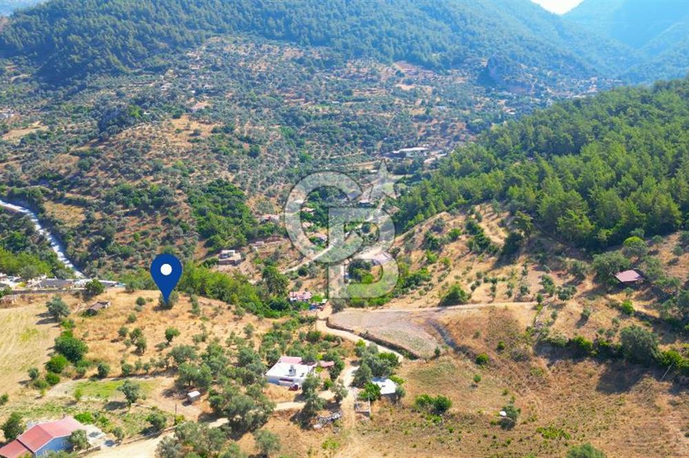 Muğla Menteşe Zeytinköy Mahallesinde Satılık İçinde Evi Olan Tarla