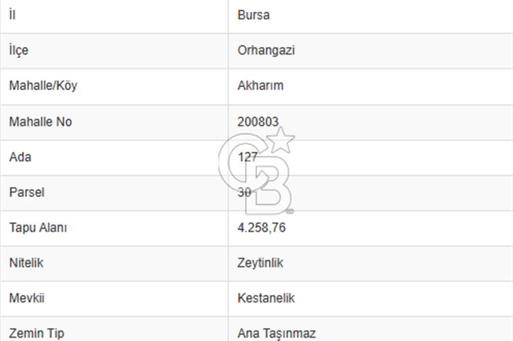 CB CLASS BURSA -ORHANGAZİ- AKHAREM 4.258 m² SATILIK ZEYTİNLİK