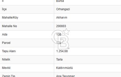 CB CLASS BURSA -ORHANGAZİ- AKHAREM 1.154 m² SATILIK ZEYTİNLİK