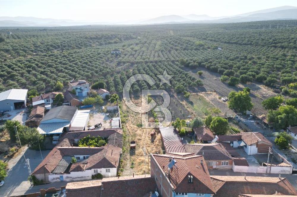 Manisa Akhisar'da Satılık Yatırımlık İmarlı Arsa 