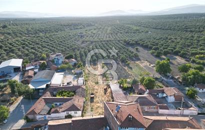 Manisa Akhisar'da Satılık Yatırımlık İmarlı Arsa 