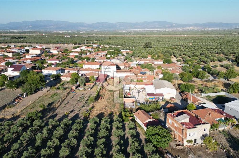 Manisa Akhisar'da Satılık Yatırımlık İmarlı Arsa 