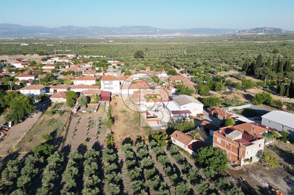 Manisa Akhisar'da Satılık Yatırımlık İmarlı Arsa 