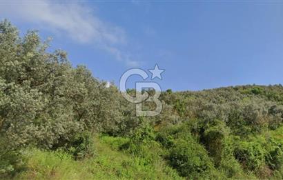 CB CLASS BURSA -ORHANGAZİ- AKHAREM 552 m² TARLA