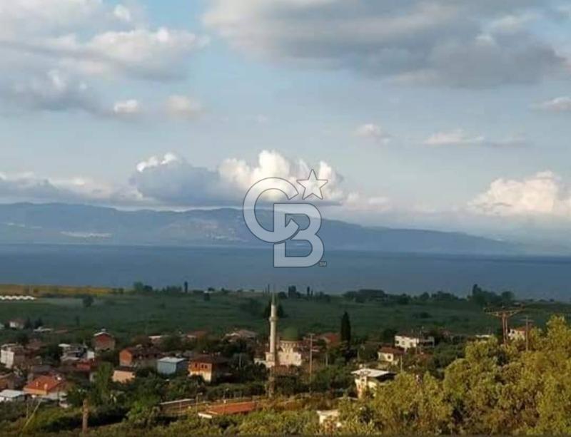 CB CLASS BURSA -ORHANGAZİ- AKHAREM 1.154 m² SATILIK ZEYTİNLİK