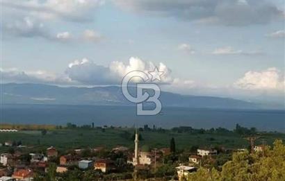 CB CLASS BURSA -ORHANGAZİ- AKHAREM 1.154 m² SATILIK ZEYTİNLİK