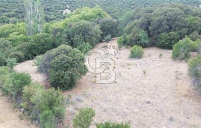 ÇANAKKALE İLİ EZİNE İLÇESİ BOZELİ KÖYÜ 5.5 DÖNÜM SATILIK TARLA