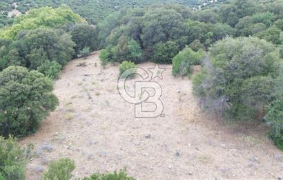 ÇANAKKALE İLİ EZİNE İLÇESİ BOZELİ KÖYÜ 5.5 DÖNÜM SATILIK TARLA