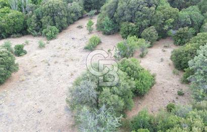 ÇANAKKALE İLİ EZİNE İLÇESİ BOZELİ KÖYÜ 5.5 DÖNÜM SATILIK TARLA
