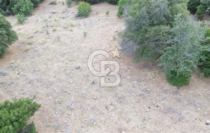 ÇANAKKALE İLİ EZİNE İLÇESİ BOZELİ KÖYÜ 5.5 DÖNÜM SATILIK TARLA