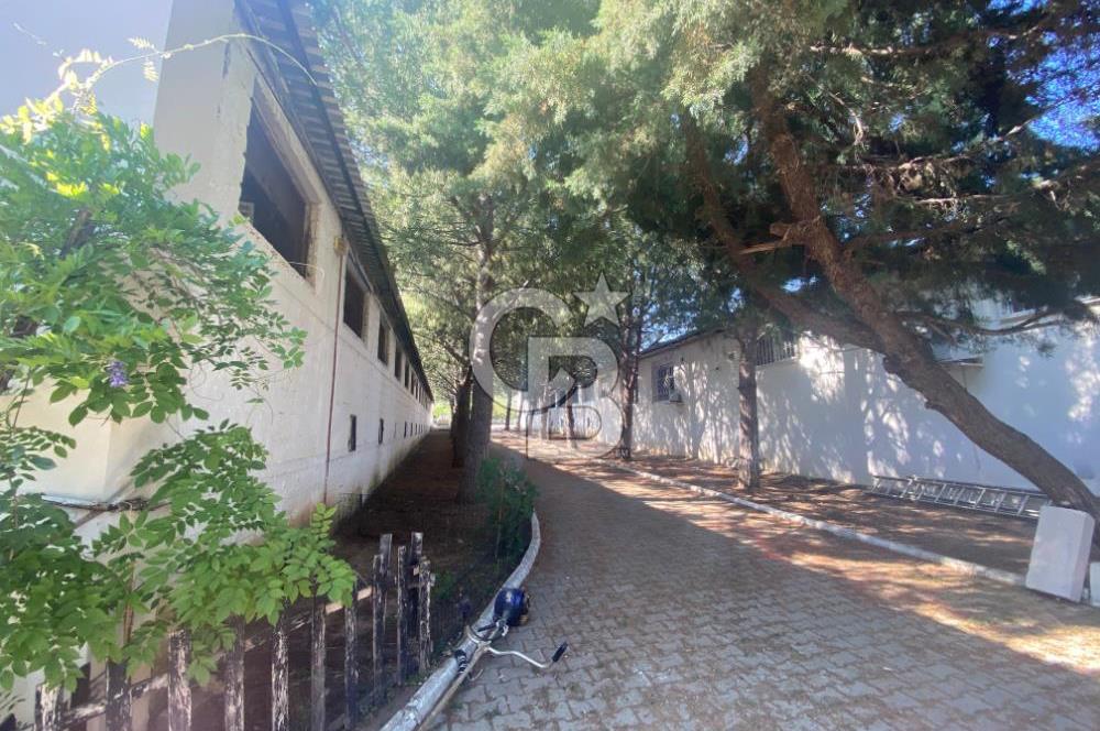 Buca Karacaağaç'ta Satılık Eşsiz Konumlu, Havuzlu, Özel Dizayn Muhteşem Çiftlik