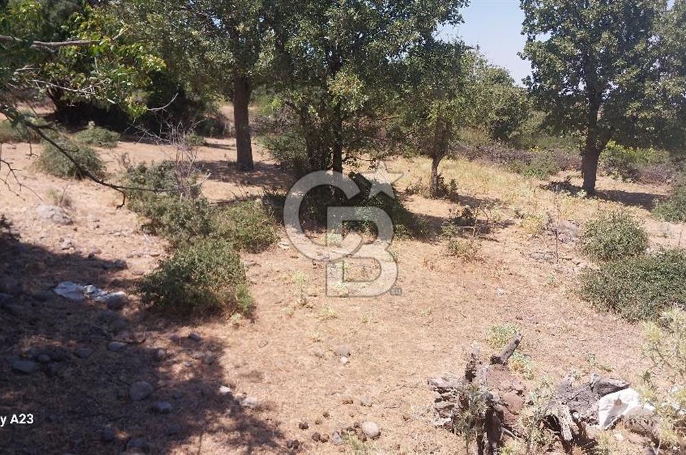 Çanakkale Ayvacık Budaklar Villa Arsası