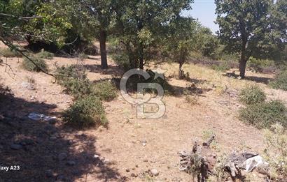 Çanakkale Ayvacık Budaklar Villa Arsası
