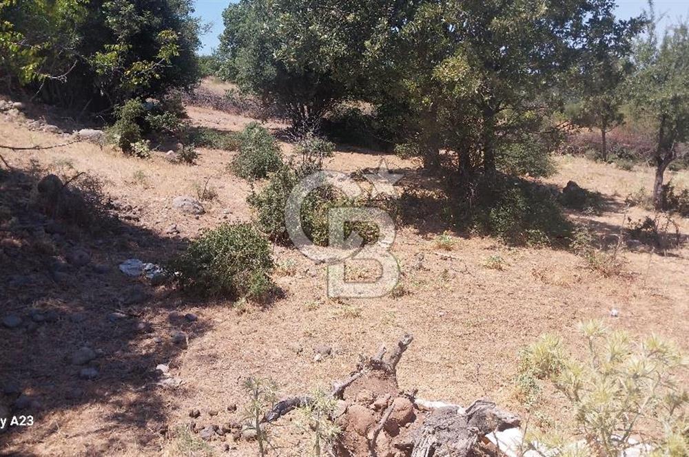 Çanakkale Ayvacık Budaklar Villa Arsası