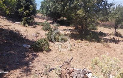 Çanakkale Ayvacık Budaklar Villa Arsası