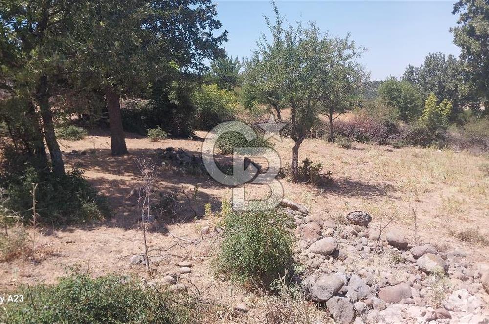 Çanakkale Ayvacık Budaklar Villa Arsası