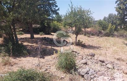 Çanakkale Ayvacık Budaklar Villa Arsası