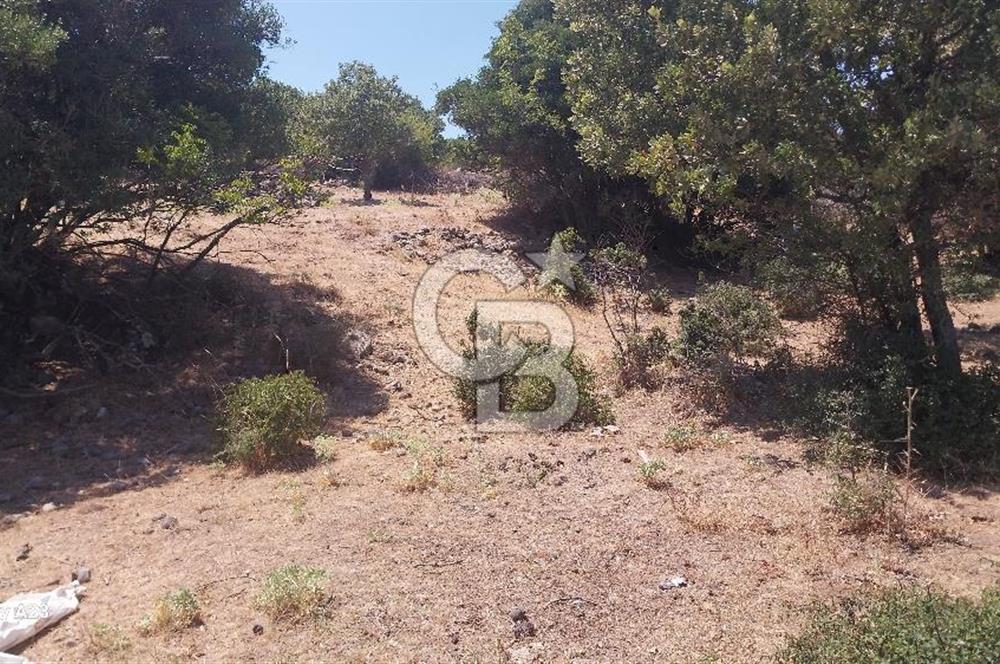 Çanakkale Ayvacık Budaklar Villa Arsası