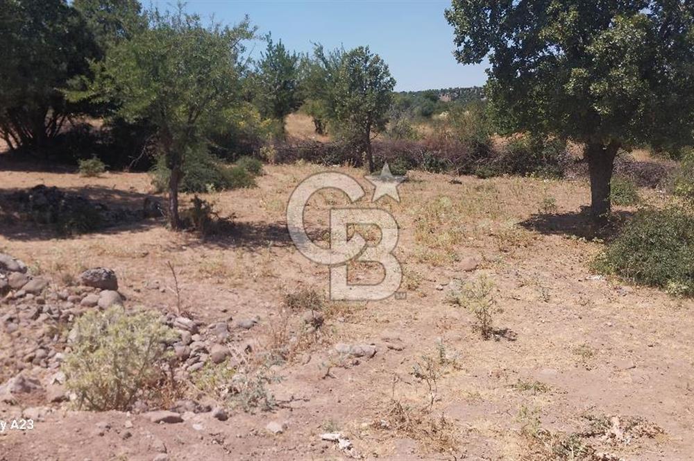 Çanakkale Ayvacık Budaklar Villa Arsası