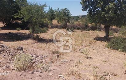 Çanakkale Ayvacık Budaklar Villa Arsası
