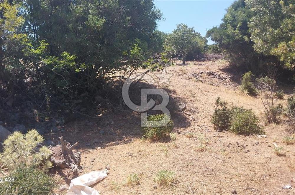 Çanakkale Ayvacık Budaklar Villa Arsası