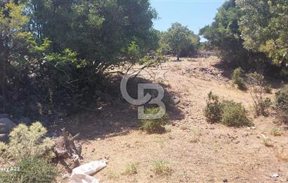Çanakkale Ayvacık Budaklar Villa Arsası