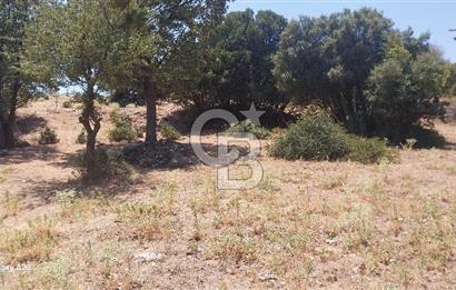 Çanakkale Ayvacık Budaklar Villa Arsası