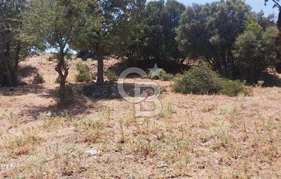 Çanakkale Ayvacık Budaklar Villa Arsası