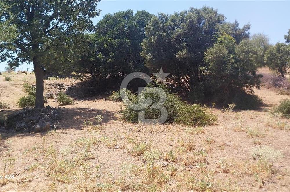 Çanakkale Ayvacık Budaklar Villa Arsası